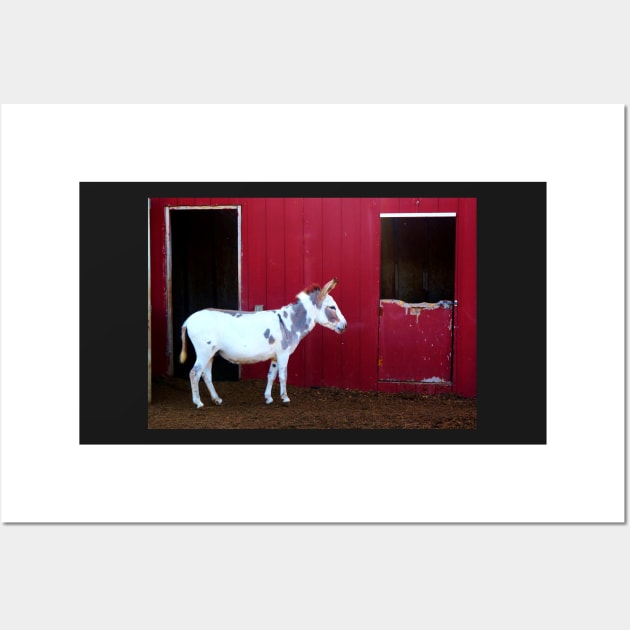 Spotted Donkey Red Barn Wall Art by 1Redbublppasswo